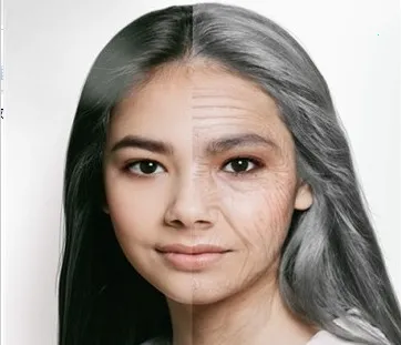 Z相机(多功能相机) Z相机(多功能相机)