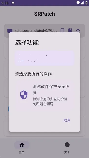 SRPatch(APKȥǩ)v2.0.0 ٷͼ