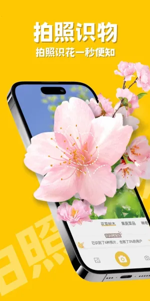 ţʶ2025ٷv1.1.5 ٷͼ