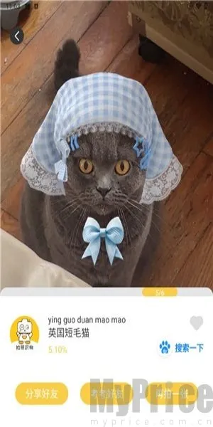 搏牛拍照识物2025官方正版 搏牛拍照识物2025官方正版