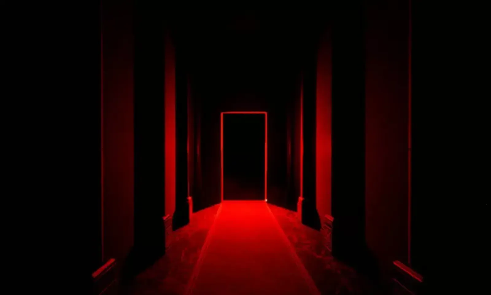 ڰƭ2d2025°汾v1 ٷͼ