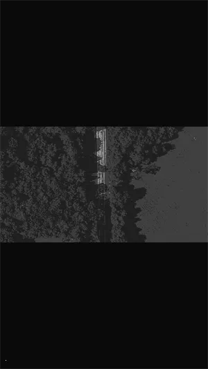 ���������·(�����������Ϸ)