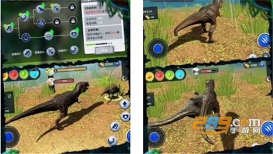 ������԰����2025���°汾