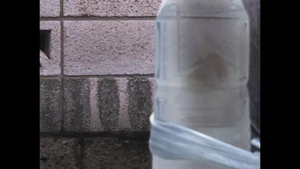 ����è֮����̷�����ֻ���v1.0 �ٷ������ͼ