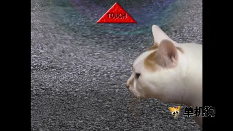 ����è֮����̷�����ֻ���