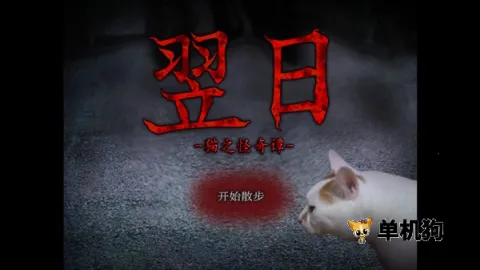 ����è֮����̷�����ֻ���