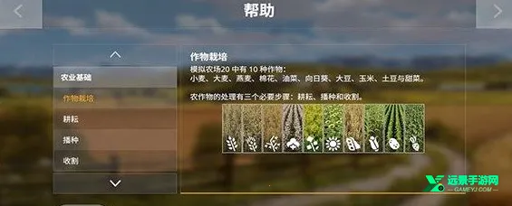 ģ��ũ��20�й��������ϰ�