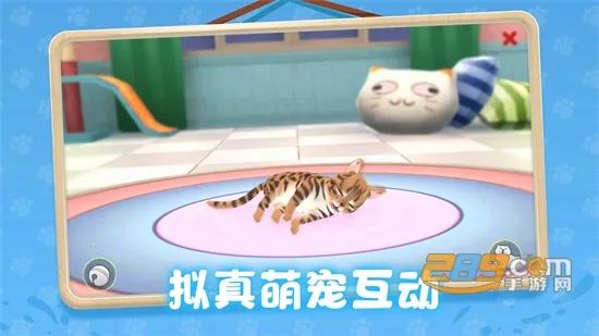 ���˸�è2025�ٷ����°汾