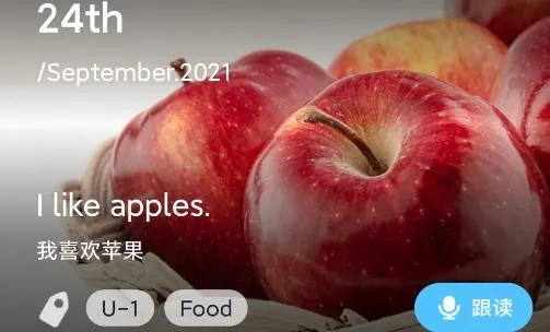 ͯ�����(Ӣ���������)