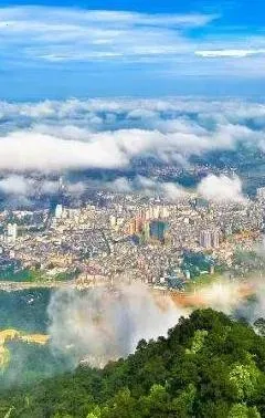 ��ƽ��ý2025�ٷ�����