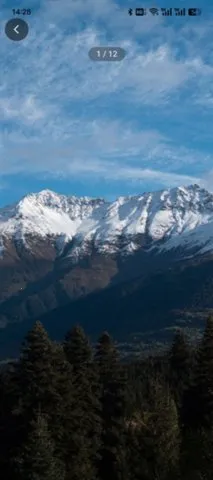 �λñ�ֽ����2025���ذ�װv1.0.0 ��׿���ͼ