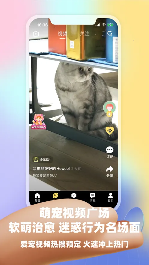 Ƥ�˷�2025�ٷ����°汾v3.17.2 ��׿���ͼ