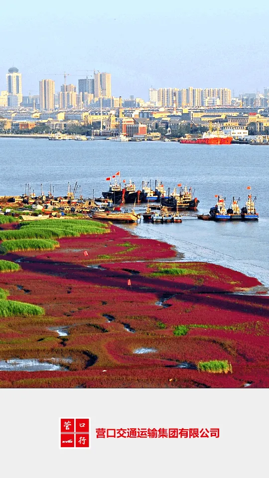 Ӫ����(��������ƽ̨)v2.2 ��Ѱ��ͼ