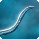 ����ģ����(����ģ����Ϸ)v55.67 ��Ѱ�