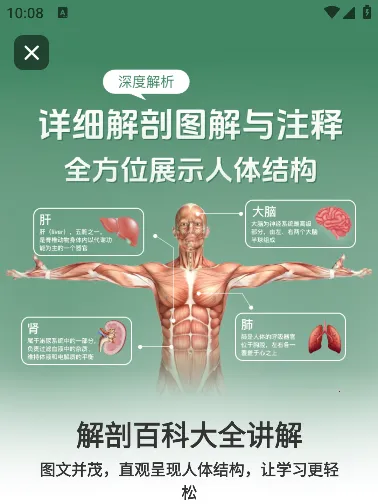 ����ģ��Body2025�ٷ�����