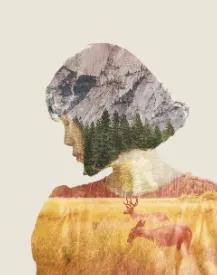 ��Ӱ��Ƶ����(��Ƶ��������)