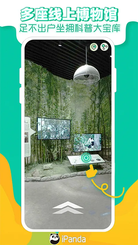 ��èƵ��2026�ٷ�����