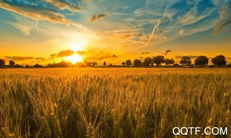 初上相机最新手机版 初上相机最新手机版