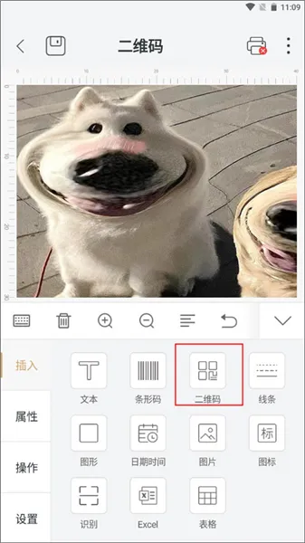 ������ӡ