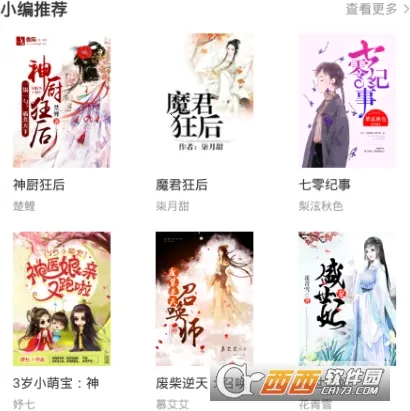 ����С˵�����ֻ���