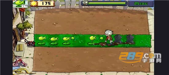 pvzc前传 pvzc前传