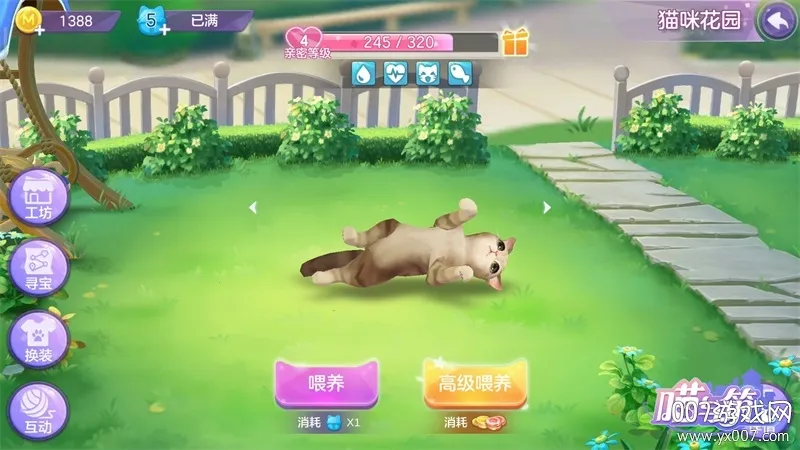 �����������ֻ���