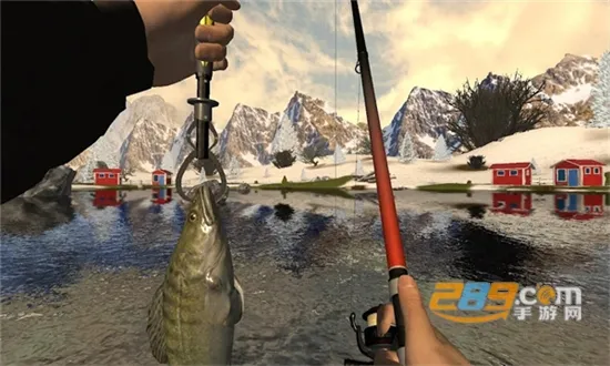 רҵ����2026���°汾