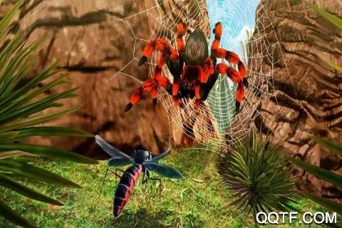 ����ģ����3D�����ֻ���v1.0 ��׿���ͼ