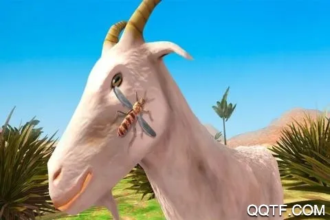 ����ģ����3D�����ֻ���v1.0 ��׿���ͼ