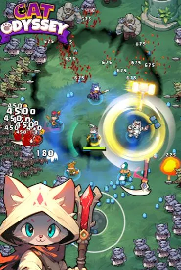 è֮�µ���2026�ٷ�����