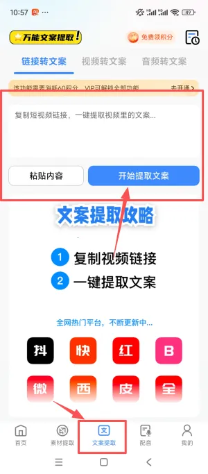 龙猫水印大师 龙猫水印大师