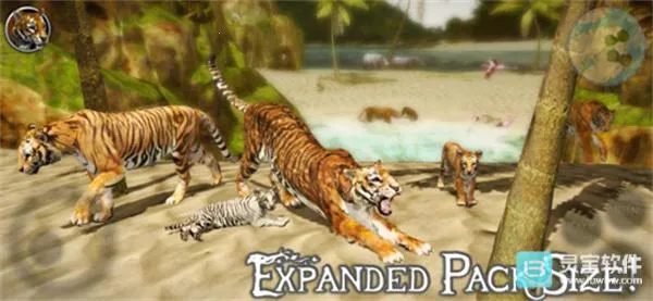 �ռ��ϻ�ģ����2