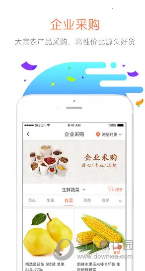 万讯七子2026官方最新版本 万讯七子2026官方最新版本