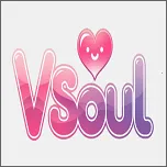 vsoul΢��2026���ذ�װv3.0.1 ��׿��