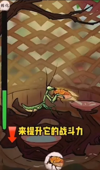 ��Ʒ���2026�ٷ�����