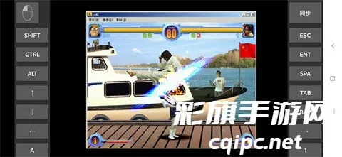 ����������˵����