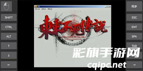 ����������˵����