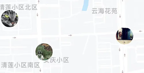 corgi柯基app下载 corgi柯基app下载