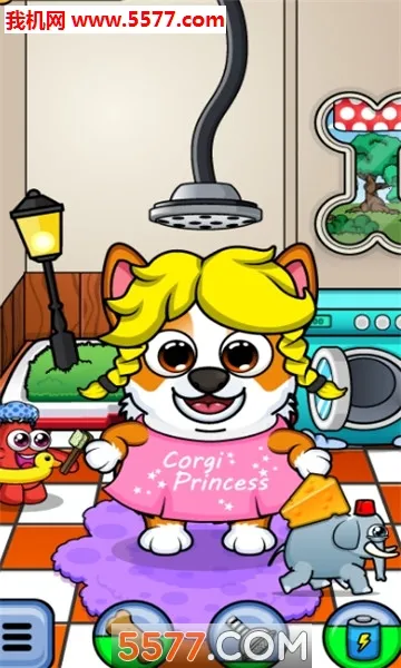 corgi�»�app����v2.2.1 ��׿���ͼ