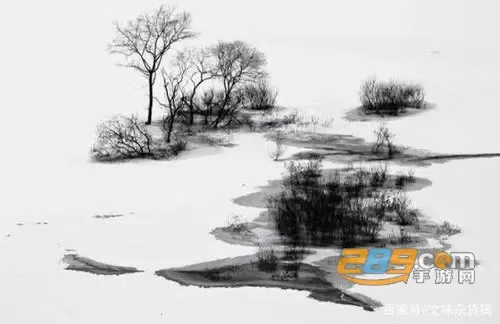 墨片2026官方最新版本 墨片2026官方最新版本