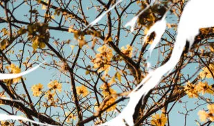 墨片2026官方最新版本 墨片2026官方最新版本