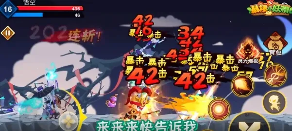 ����С����2026�ٷ�����