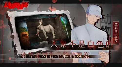 ����԰��̸