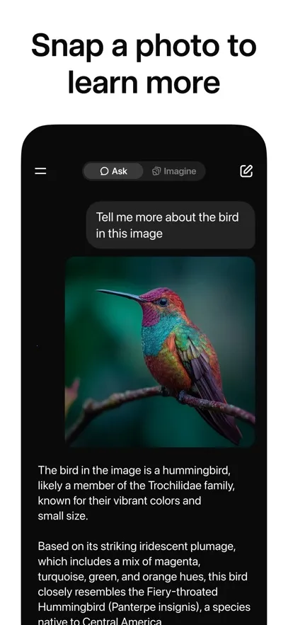 grok�Ƽ�ȫv1.1.32-release.05-release.08-release.00-release.00 ��Ѱ��ͼ