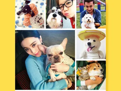 ���﷭����