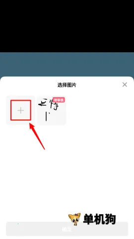 ��������2026�ٷ�����