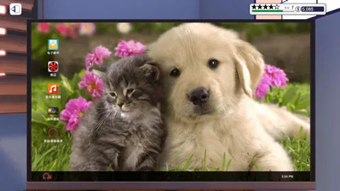 �����Գ��ְ�׿���ֻ���