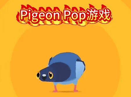 pigeon���ĸ���