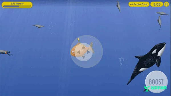 ��ζ��������(����������Ϸ)