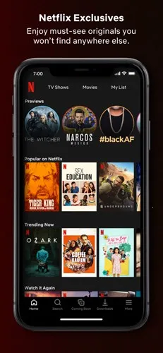 ����Netflix(Ӱ�Ӳ���Ӧ��)v9.18.0 �ֻ����ͼ